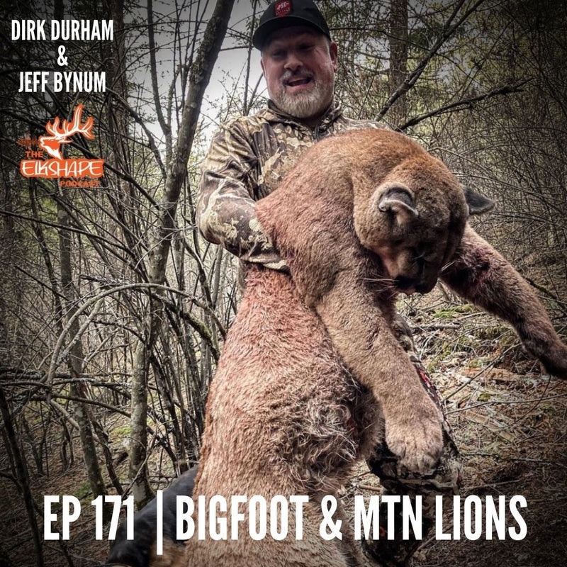Elkshape Podcast - Sasquatch & Mountain Lions