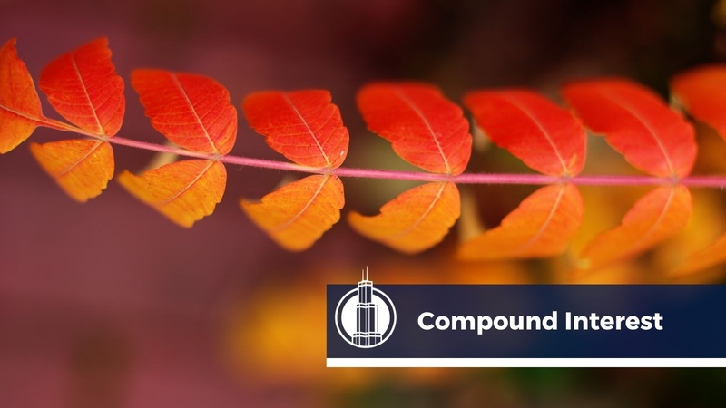 How to Take Advantage of Compound Interest