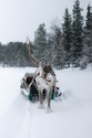 Make a List and Check it Twice | Holiday Conversations