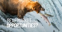 Bear Market Perspective