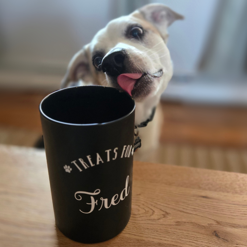 No Bones About It: A Pup's Guide to Smart Saving