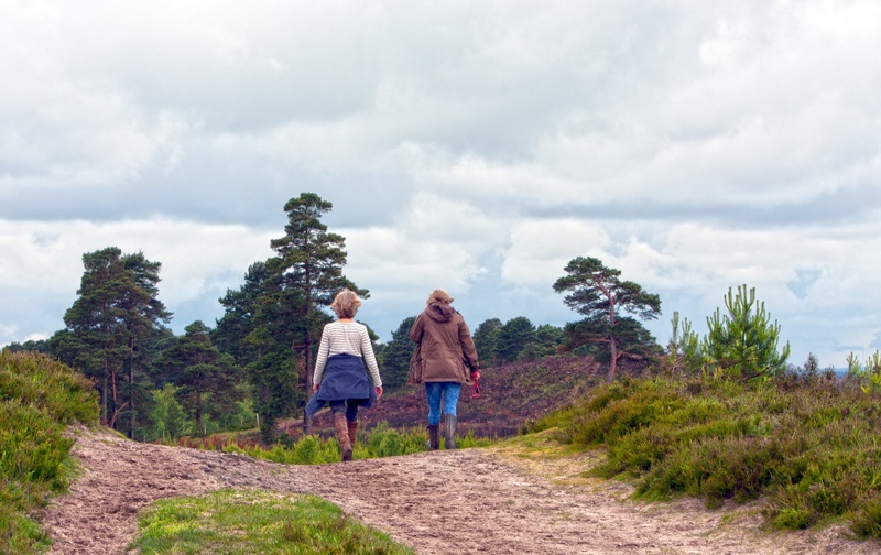 Long-term Care Expenses - Know Your Options