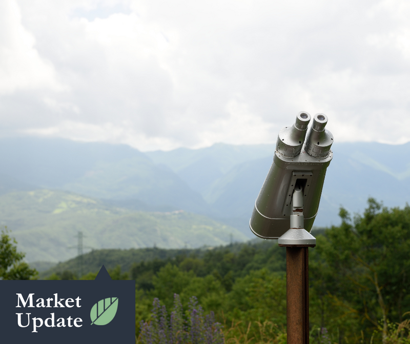 Market Update | August 26, 2024