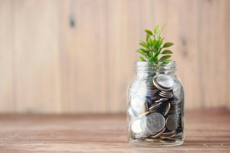Could Your 401(k) Offer More Investment Options Than You Think?