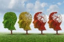 Avoiding Cognitive Decline