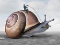 The Fastest Way to Get Rich? Go Slow