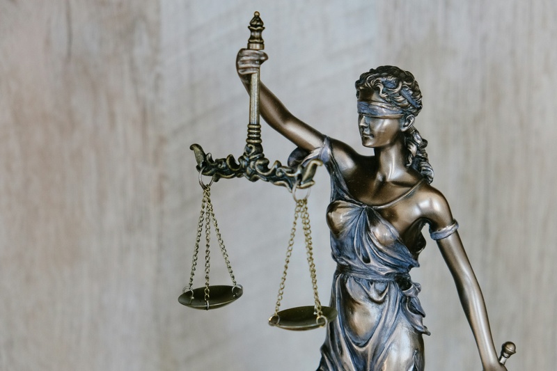 What Is a Guardian Ad Litem and What Do They Do?