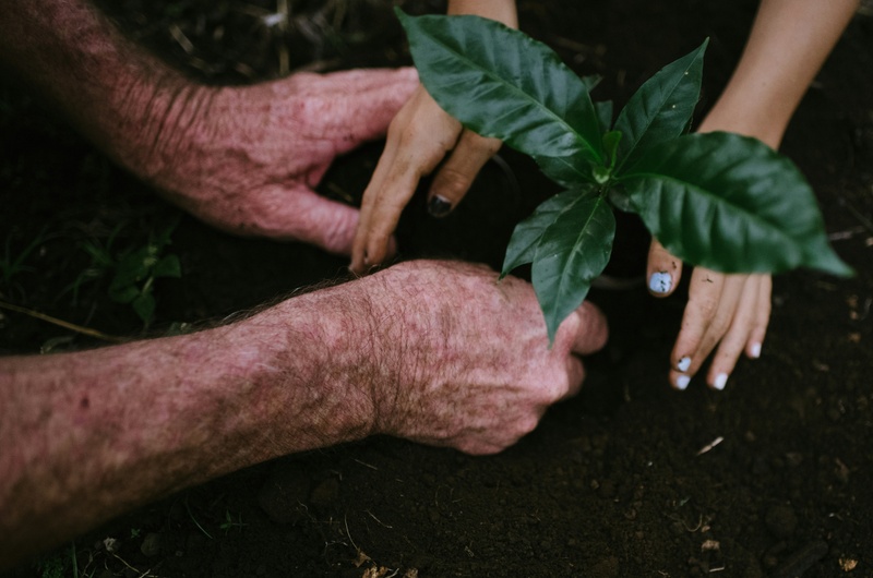 Wills & Estate Planning: What You Need to Know to Protect Your Family and Your Legacy