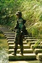 How the GI Bill Shaped Society and the American Dream