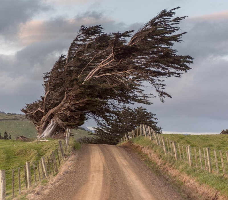 The Danger of Perfect Conditions