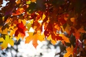 September 2022: Retirement Readiness Newsletter