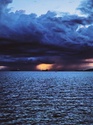 Managing Market Volatility