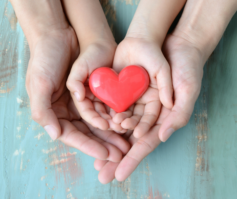 Empowering Your Legacy: How to Create a Charitable Giving Plan
