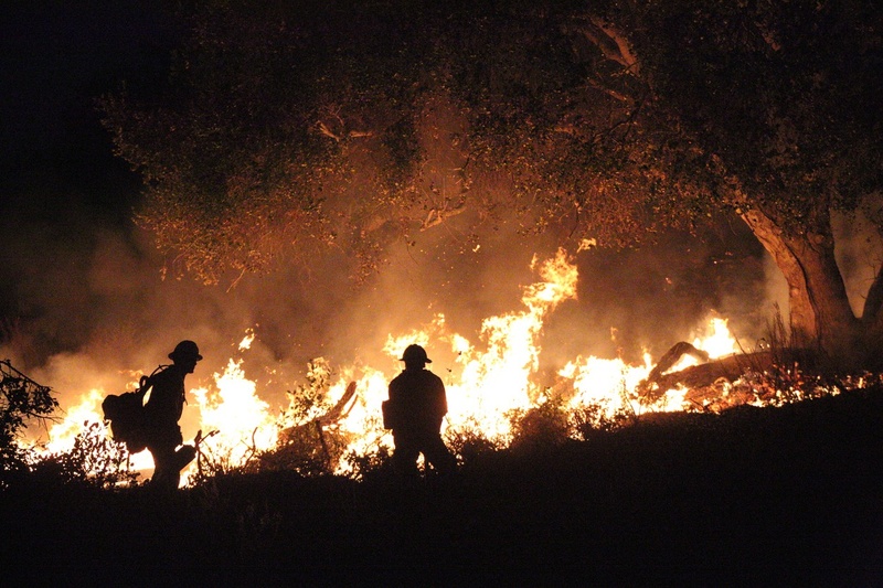 Los Angeles Fires