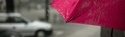 Checking The Weather - Turns Out You May Need An Umbrella