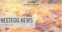 NestEgg News October 2023