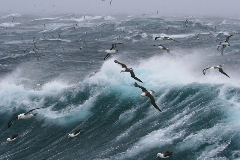 Weathering the Storm