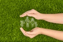 Term vs. Permanent Life Insurance: What's the Difference?