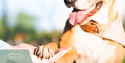 The Best Kind of Medicine–A Furry Companion