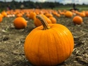 Have a Hopeful Halloween
