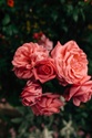 In Case I Die - What can I do to prepare?