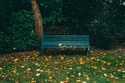 Life Insurance: A Guide to Protecting Your Loved Ones' Futures