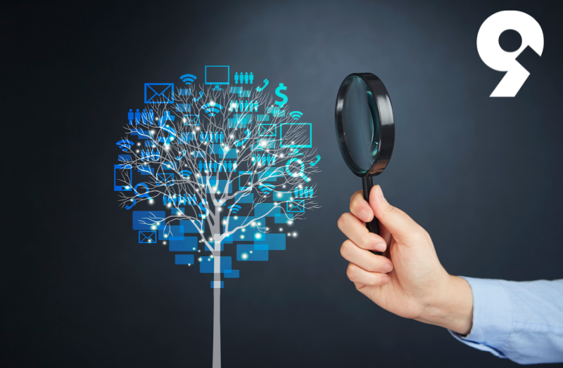 The Price Tag of Your Information: The Truth Behind Company Incentives