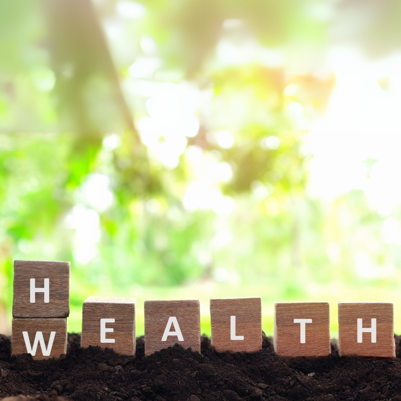 Balancing Health and Wealth in Financial Planning
