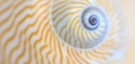 Can midterm elections move markets? 5 charts to watch