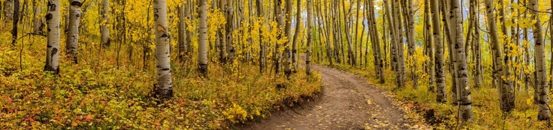 Maximize Retirement with Year-End Financial Moves