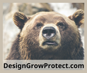 Is the Bear Market Over?