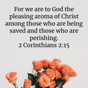 2 Corinthians 2:15