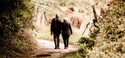 National Family Caregiver Month