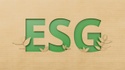 ESG Investing: Let’s Talk About Green Washing