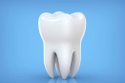 Dental Insurance by Met Life