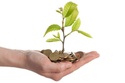 What are the Advantages and Disadvantages of the three Agent Types?