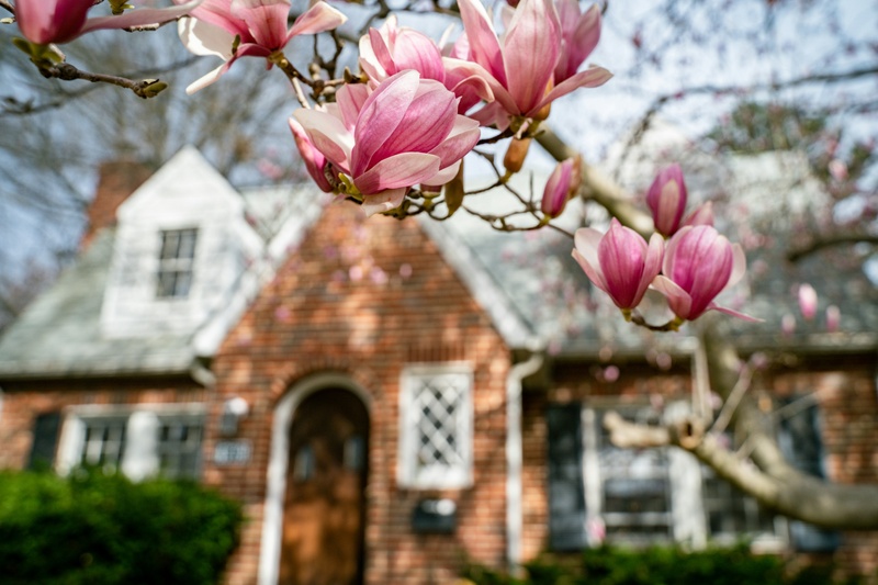 How Much Does an Estate Plan Cost?