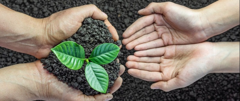 Building Your Legacy