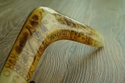 Guiding the Boomerang Generation