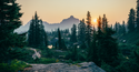 The Basics of ESG Investing