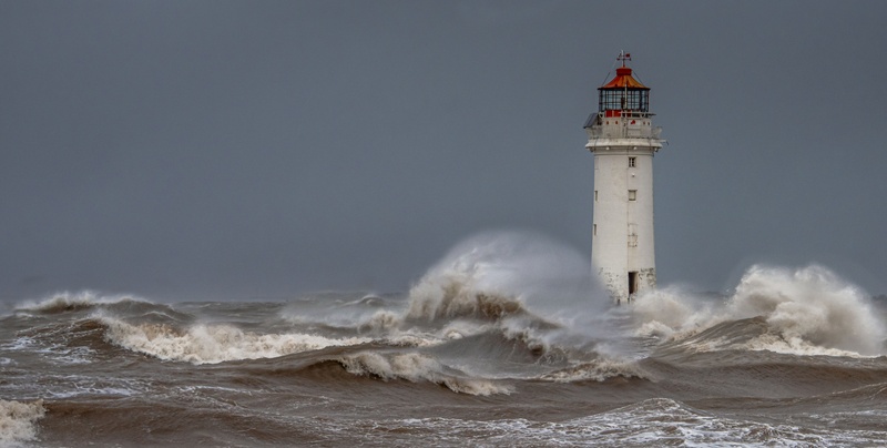 Participant Corner: Market Turbulence: What History Tells Us