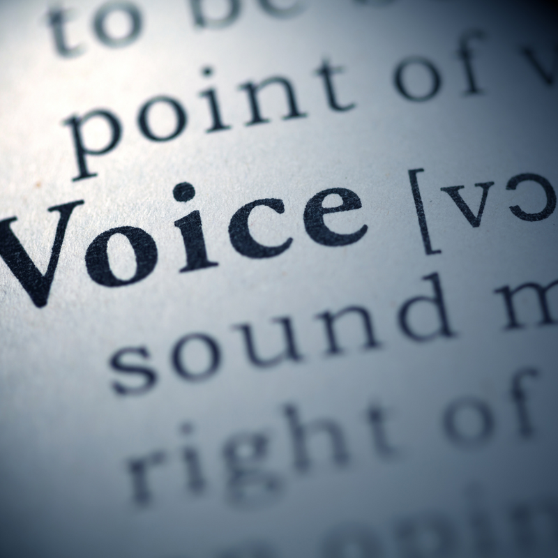 Make Your Voice Heard_2024-05-09