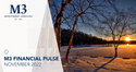 November 2022 Financial Pulse