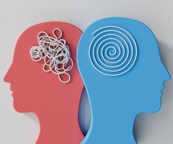 Navigating Financial Decisions Through the Lens of Behavioral Finance and Psychology
