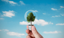 Upgrade to Energy Efficiency