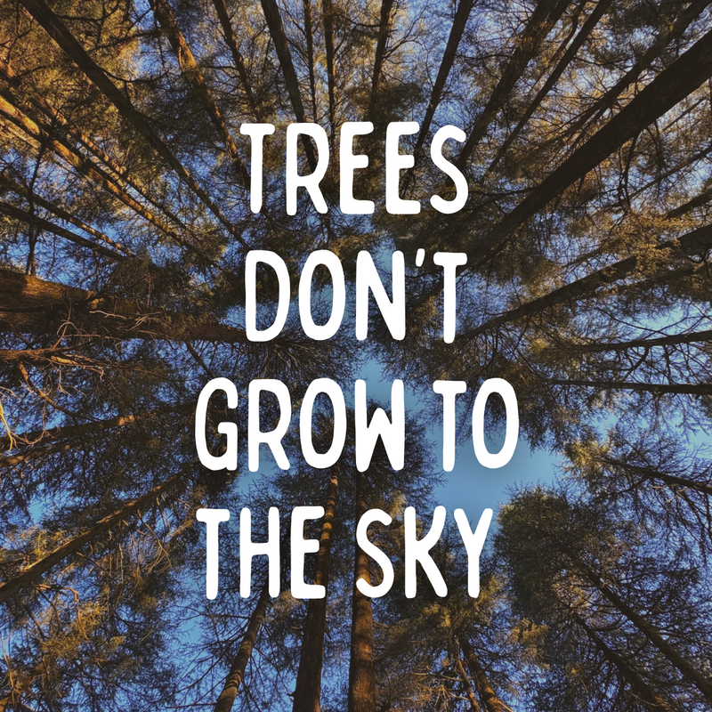 Trees Don’t Grow to the Sky
