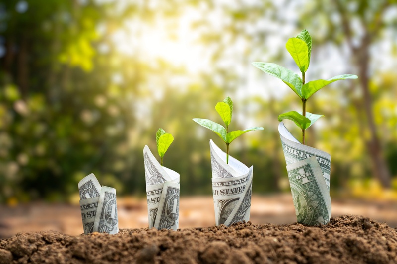 'Farming' Your Finances: Are you providing sufficient care and feeding to grow your wealth?