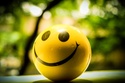 Save With Dave April 1 2023 Newsletter