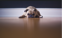 Family Preparedness: Five Steps to a Better Apology