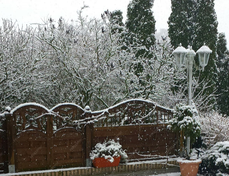Does Your Garden Die in Winter?